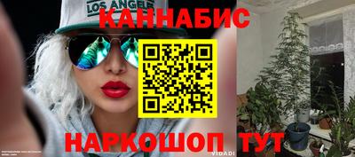 прущие крисы Лесосибирск