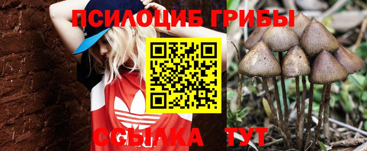Псилоцибиновые грибы MAGIC MUSHROOMS Зерноград