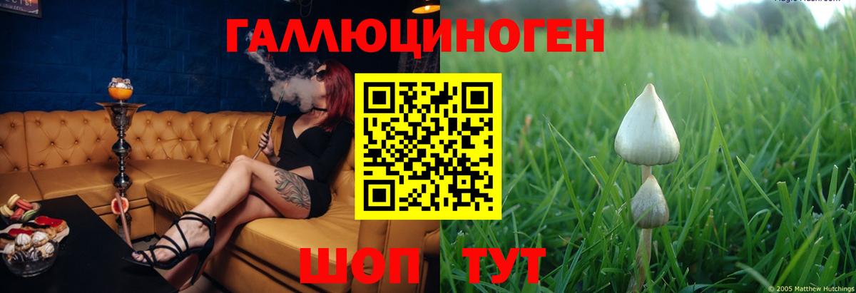 Зерноград  Псилоцибиновые грибы мухоморы  Вход с VPN  Псилоцибиновые грибы ЛСД 